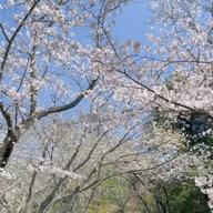 🎡奏音🎼カノン5日15時〜-Precious-伊藤由奈