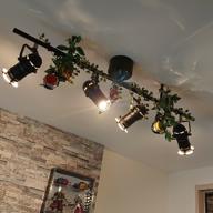 マーピン-チェリー-スピッツ