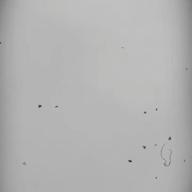 モナꯁꯧ-獣ゆく細道-椎名林檎と宮本浩次
