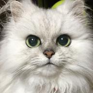 ヒデハル🐱視聴返信遅🙏💦-ただ…逢いたくて-EXILE