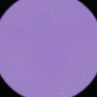 かすみん-Baby don't cry ～神様に触れる唇～-Beverly