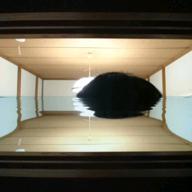 HIRO-爆竜戦隊アバレンジャー-遠藤正明