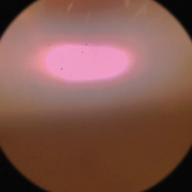 muck🦹-ゼロのままでいられたら-Official髭男dism