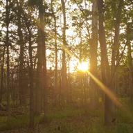 瞳の住人 まるりー-水平線-back number