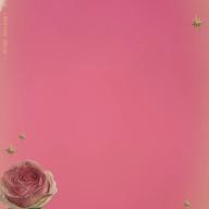 🍒あんころっち🍒-夜桜お七-坂本冬美