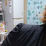 Marie☙(超多忙中💦)-DICE-hide