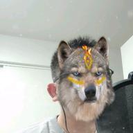 🐕れん🐶-雪の華-中島美嘉