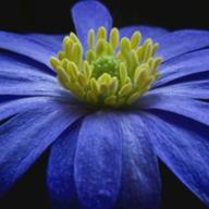 Katase🌤⛅🌥🌦🌧-flos-R Sound Design