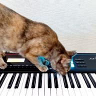 ゆったりビブラート🍀.*-come again-m-flo