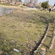 🍇こまった🍓☘️🎸🍇-黄昏のビギン-ちあきなおみ