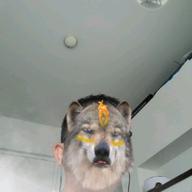 🐕れん🐶-群青-YOASOBI