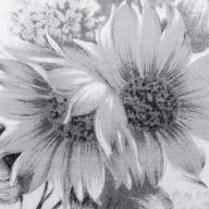 にくにく-サイレント・イヴ-辛島美登里