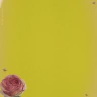 🐾kazuki☆1%-Crazy 4 U-倖田來未