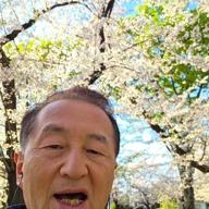 ワオくん-桜色舞うころ-中島美嘉