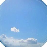 fumofumo-青春の影-チューリップ