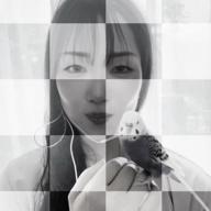 🌈ᵕ̈こちラジ📻22時🦖🦕-忘れてください-ヨルシカ