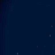 マーミン🌺-ヴァージニティー-レベッカ