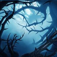 モナꯁꯧ-カブトムシ-aiko