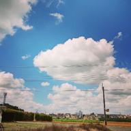 🌈❣️Toshi🍓🐻-言えないよ-郷ひろみ