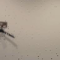 りかんと🐻-灯を護る-スピッツ