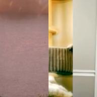 🐈GREEN®"-好きすぎて滅!-M!LK