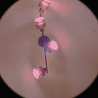 こ ー り-山河-五木ひろし