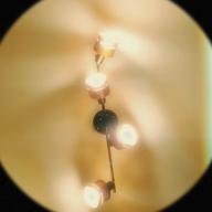 こ ー り-I LOVE YOU-尾崎豊