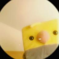 🍊みかん🍊感謝です-NAO-HY