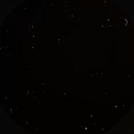 🎉たぁ🤠たぁ🎉たぁちょん-赤い鳥逃げた-中森明菜