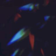 🐈Catfish🐠-花 -Memento-Mori--Mr.Children