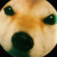 🌈ᵕ̈こちラジ📻22時🦖🦕-ブレーメン-ヨルシカ