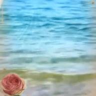 🧷さくらねこ【毎晩25時〜】-fragile-Every Little Thing