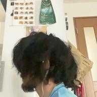 忘れられたタマヤマ-翳りゆく部屋-エレファントカシマシ