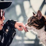 🧷さくらねこ【23時30分】-Monster-嵐