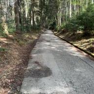 🅚🦆放浪中のかるがもさん-メロディー-玉置浩二