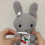 🐰ゆみち🤍🎸🐼-いけないボーダーライン-ワルキューレ