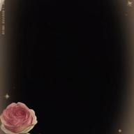 はなちゅん💚🐤-萌-離婚伝説