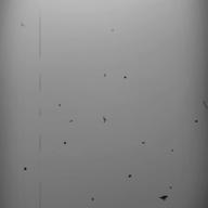 mokoꕤ︎︎-you-林和希