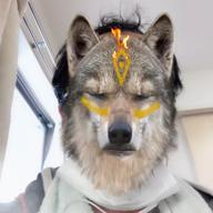 キモチー-恋の予感-安全地帯