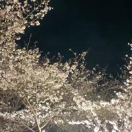 🐸minaねぇ🐱-風-コブクロ