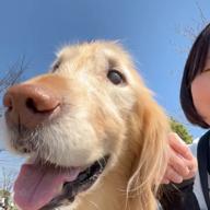 𝐦𝐨𝐦𝐨𝐭𝐞𝐧໒꒱˚.*-未来へ-Kiroro