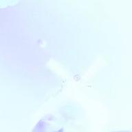 時々ピーコYukiꉂ◟⌓̈⃝🌿-世界が終るまでは…-WANDS