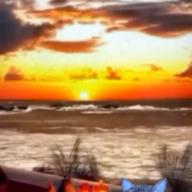 🧷さくらねこ⏰23時30分〜-STILL ALIVE-聖飢魔II