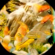 🧷さくらねこ⏰23時30分〜-CAT'S EYE-Ado