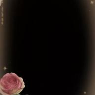 みのるん♪地方対抗東北🥰-誕生日には真白(ましろ)な百合を-福山雅治