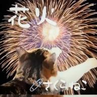 🧷さくらねこ【232323】-オリジナル-