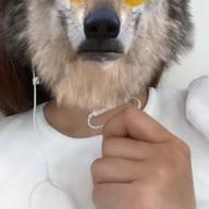 ma__-Shake & Shake-sumika