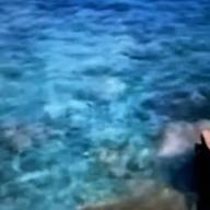 🧷さくらねこ-PIECE OF MY WISH-今井美樹