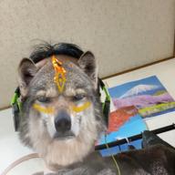 けいやん-帰れない二人-井上陽水