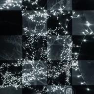 🐸minaねぇ🐱-流星-コブクロ